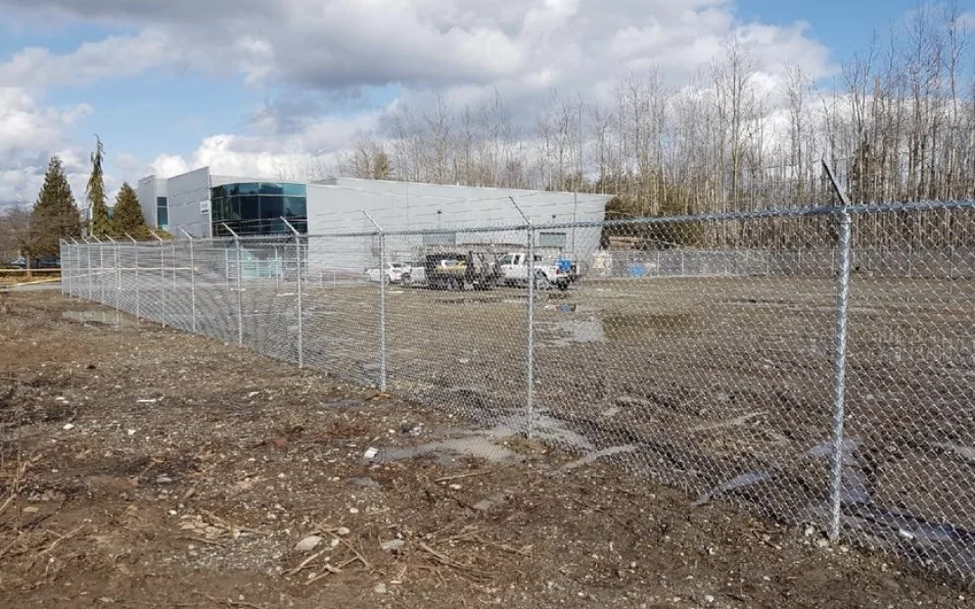 Complete Guide to Fencing: