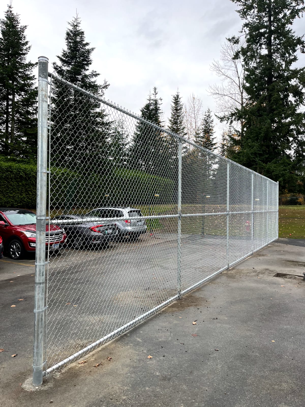 Standard Galvanized Fencing